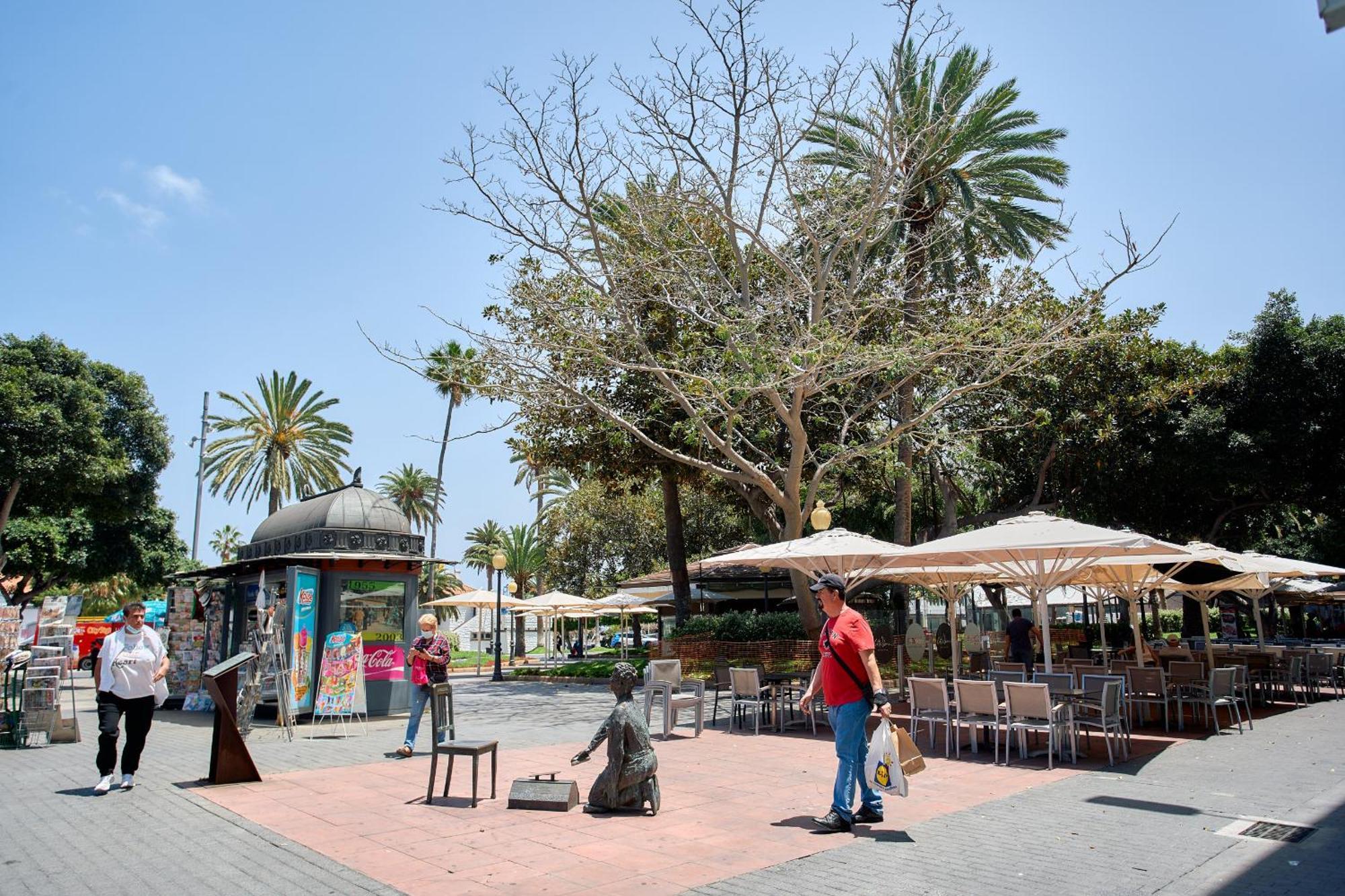 Urban Flat In Santa Catalina - 4 Min Walk To Beach Las Palmas de Gran Canaria Esterno foto